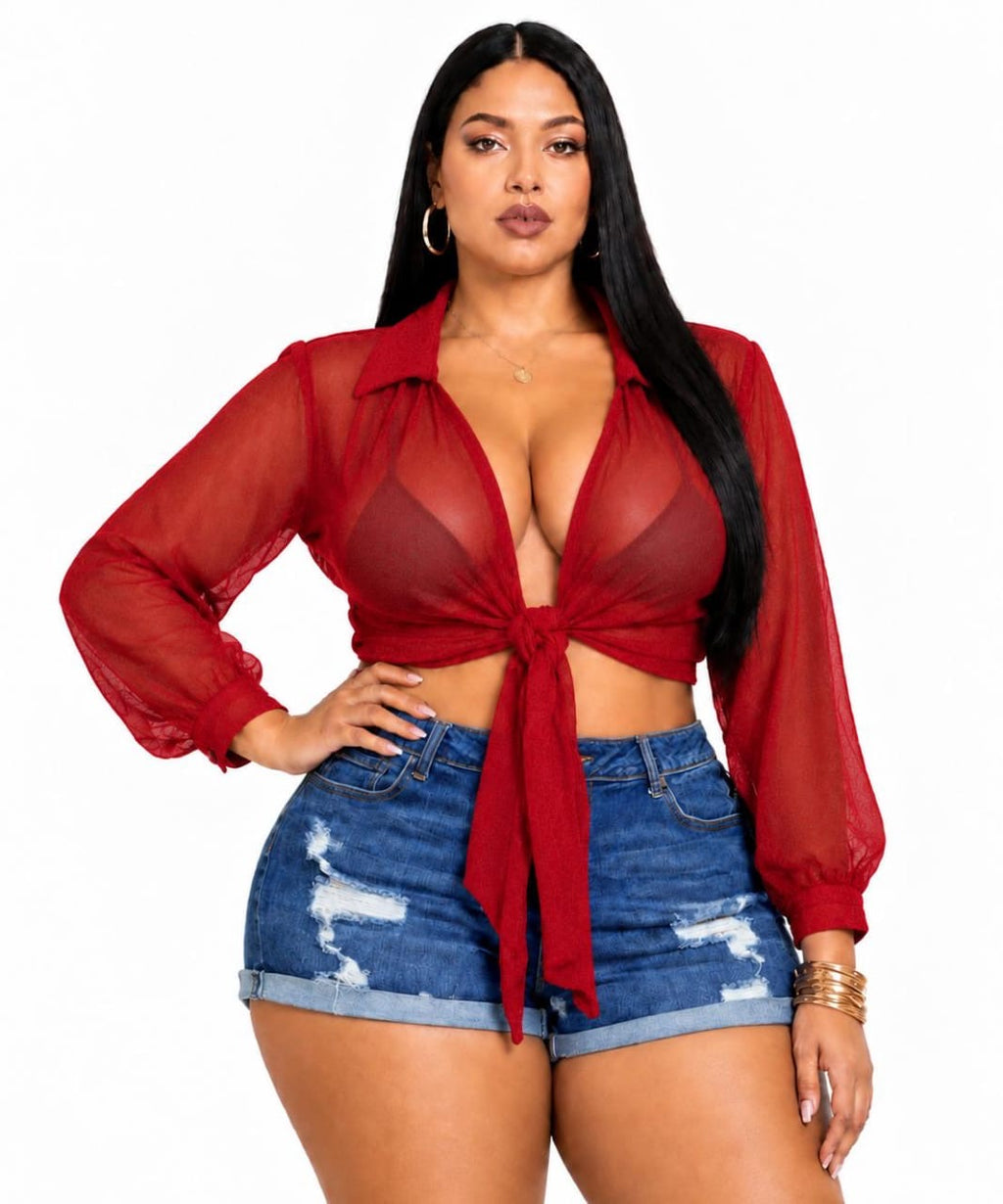 Red Sloane Plus Size Sheer Tie-Front Top
