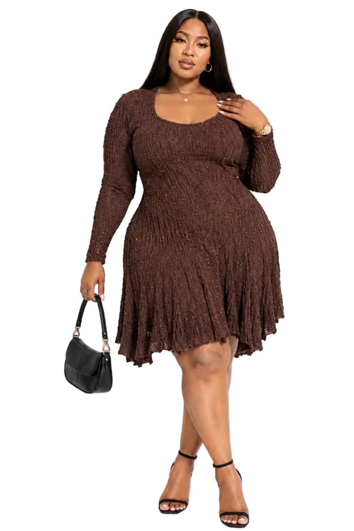 Brown Brooke Plus Size Sparkle Textured Mini Dress