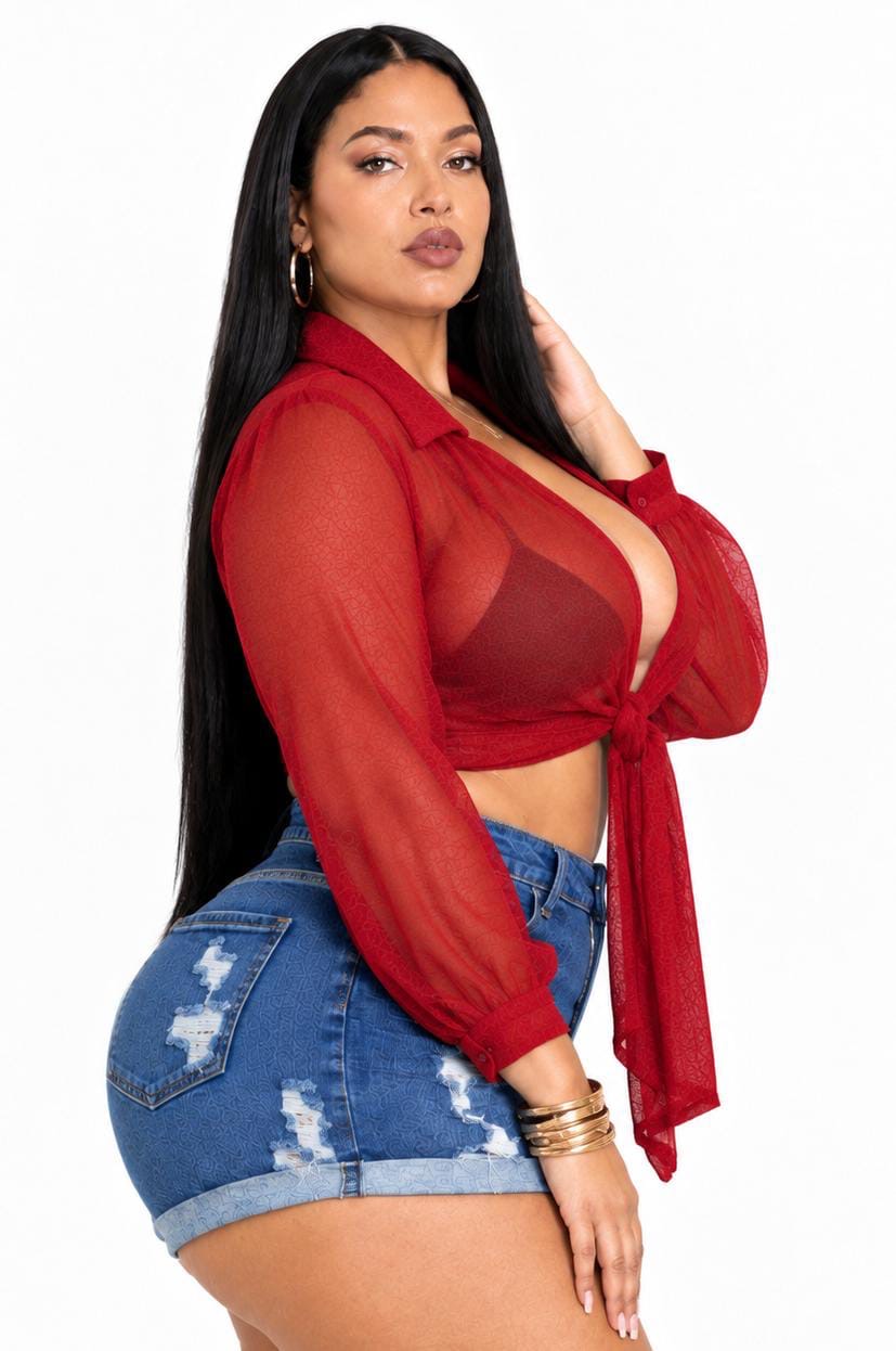 Red Sloane Plus Size Sheer Tie-Front Top