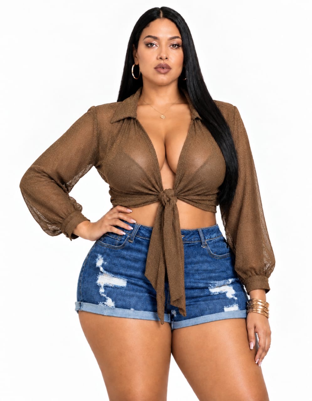 Brown Sloane Plus Size Sheer Tie-Front Top