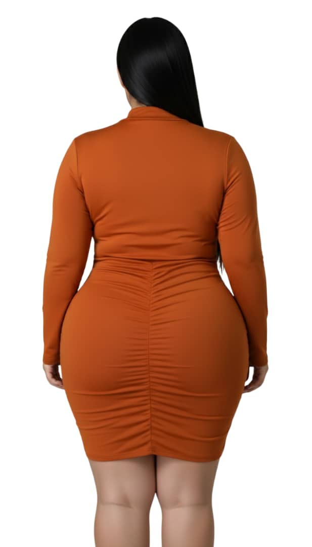 Rust Lena Long Sleeve Ruched Dress