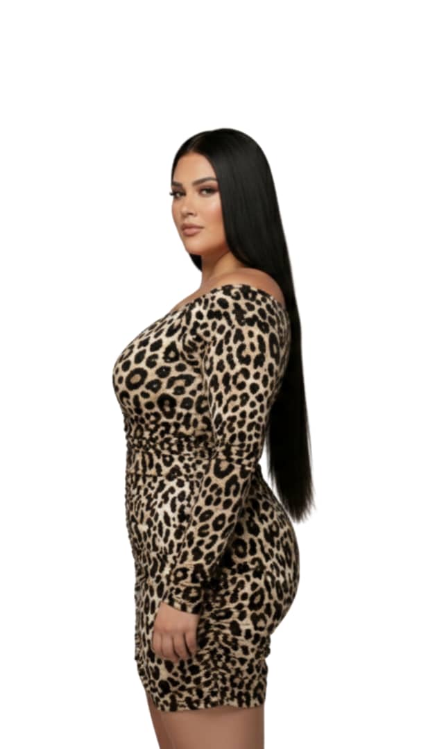 Leopard Maya Off-Shoulder Long Sleeve Dress
