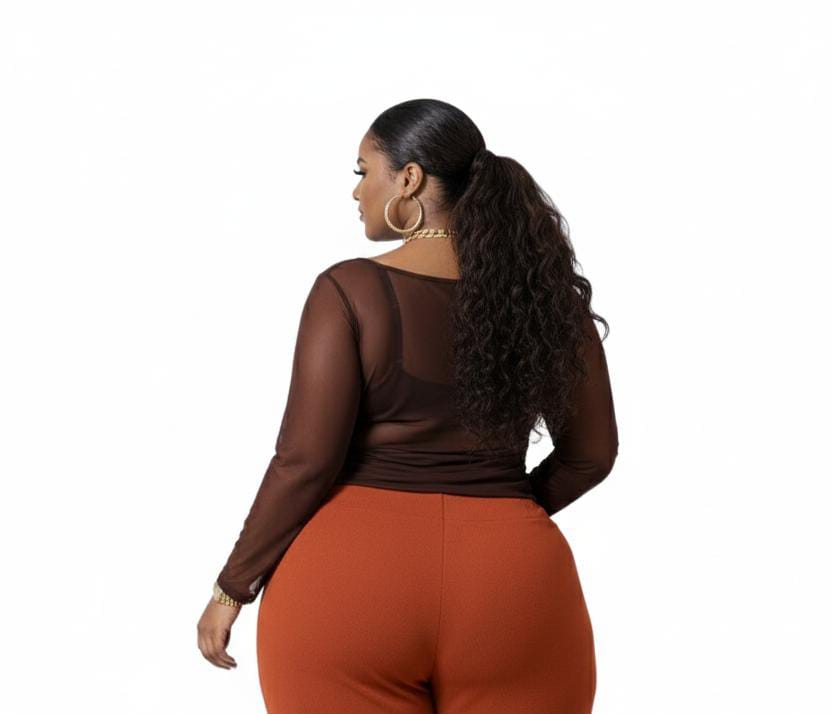 Brown Jane Plus Sheer Mesh Long Sleeve.