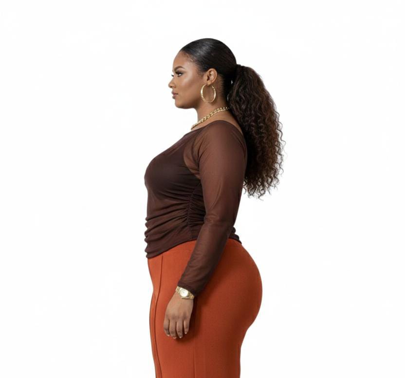 Brown Jane Plus Sheer Mesh Long Sleeve.