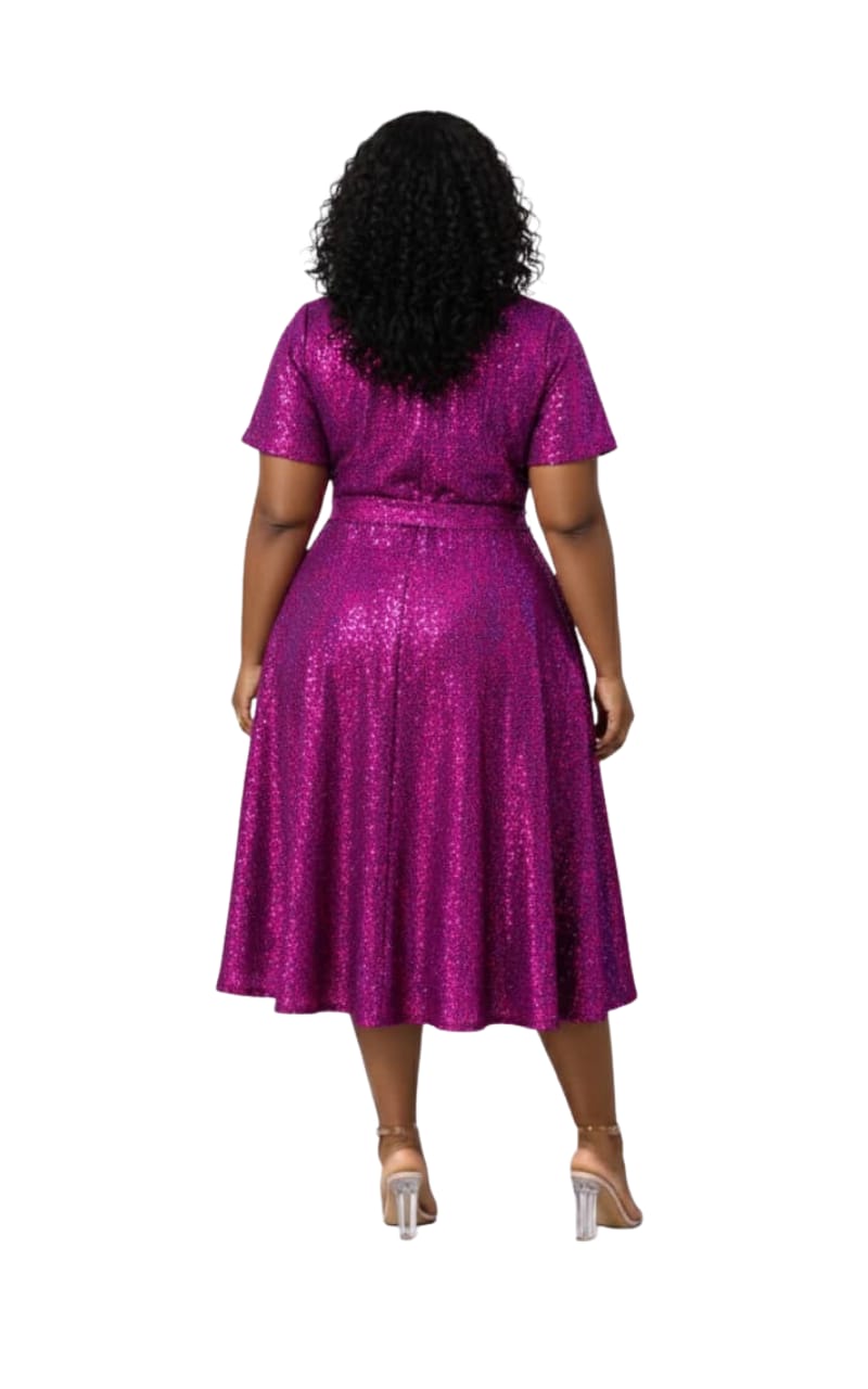 Sandy Fuchsia Sequin Flare Dress