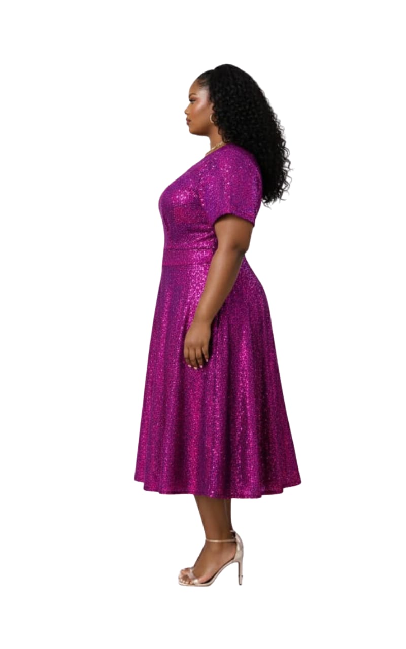 Sandy Fuchsia Sequin Flare Dress