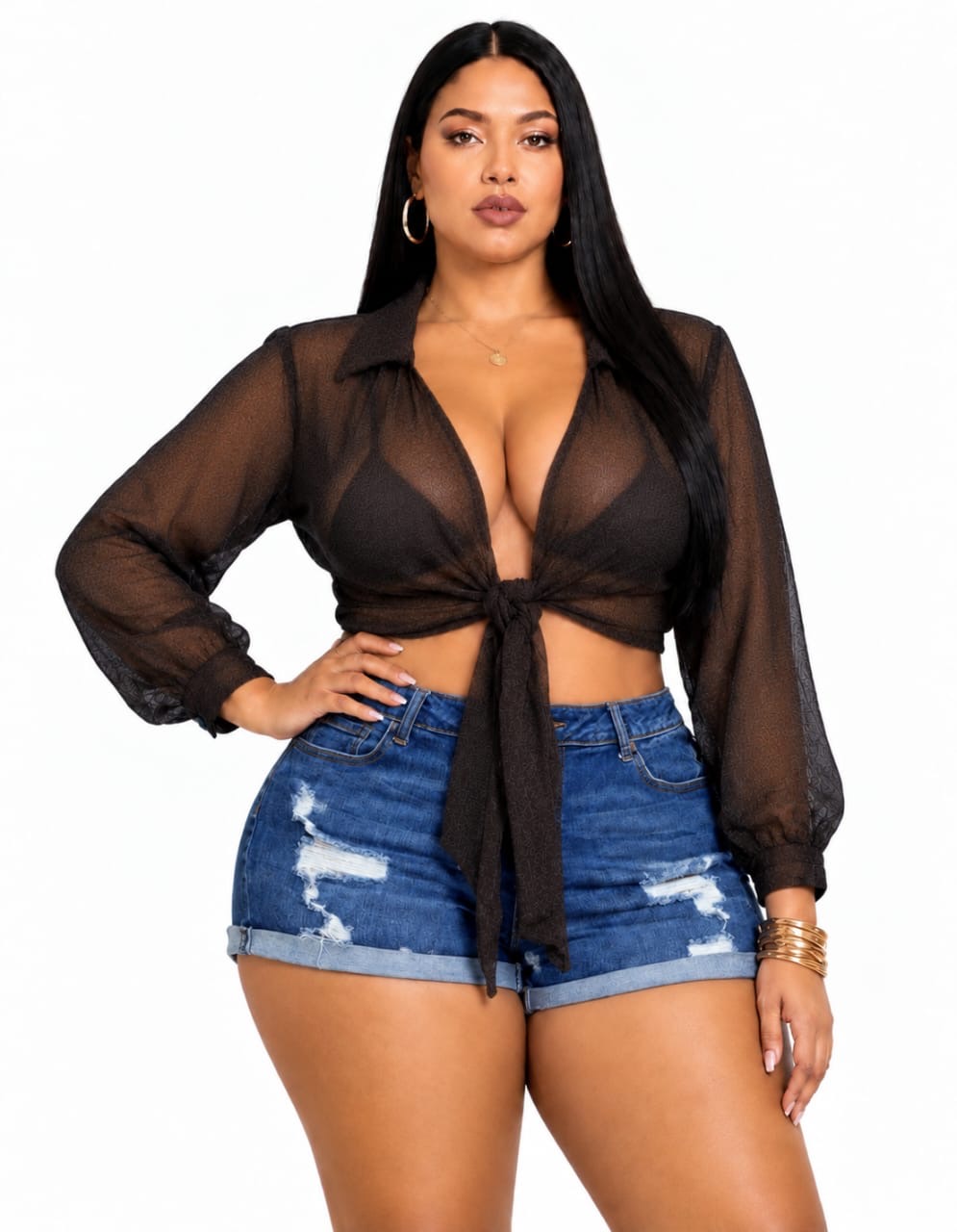 Black Sloane Plus Size Sheer Tie-Front Top