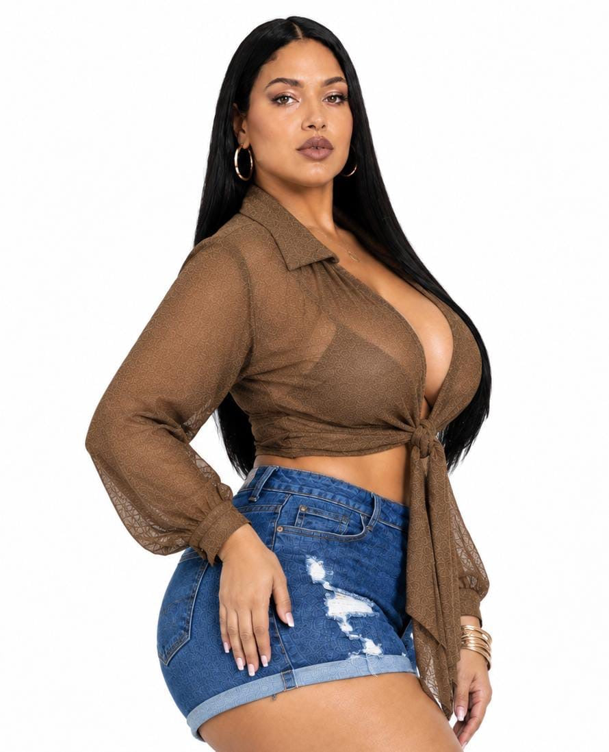 Brown Sloane Plus Size Sheer Tie-Front Top
