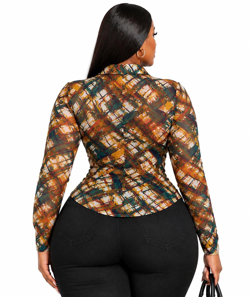 Multicolor Parker Plus Size Sheer Abstract Print Button-Up Shirt
