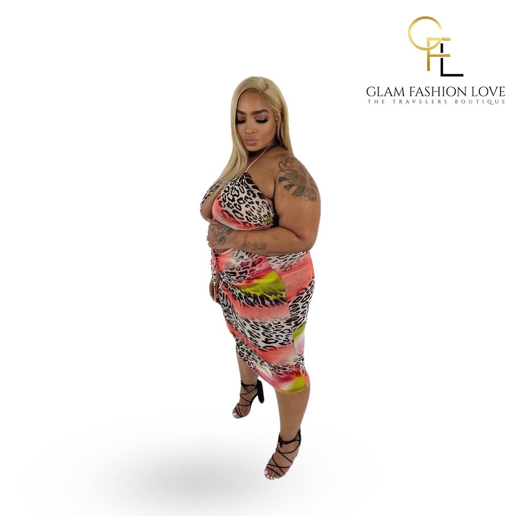 Multi color Mesh + size Dress